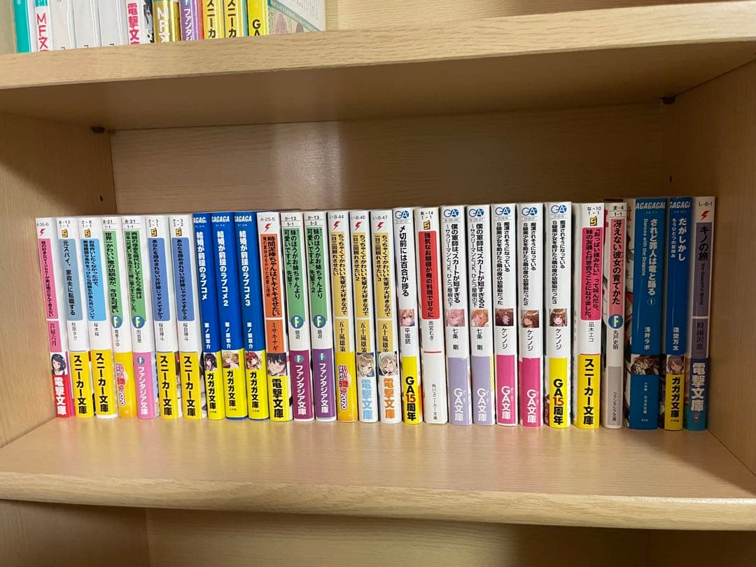 ラノベ195冊まとめ売り+特典など