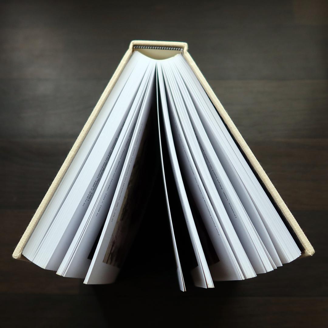 DRAW A FAMILY（JULIAN SCHNABEL）