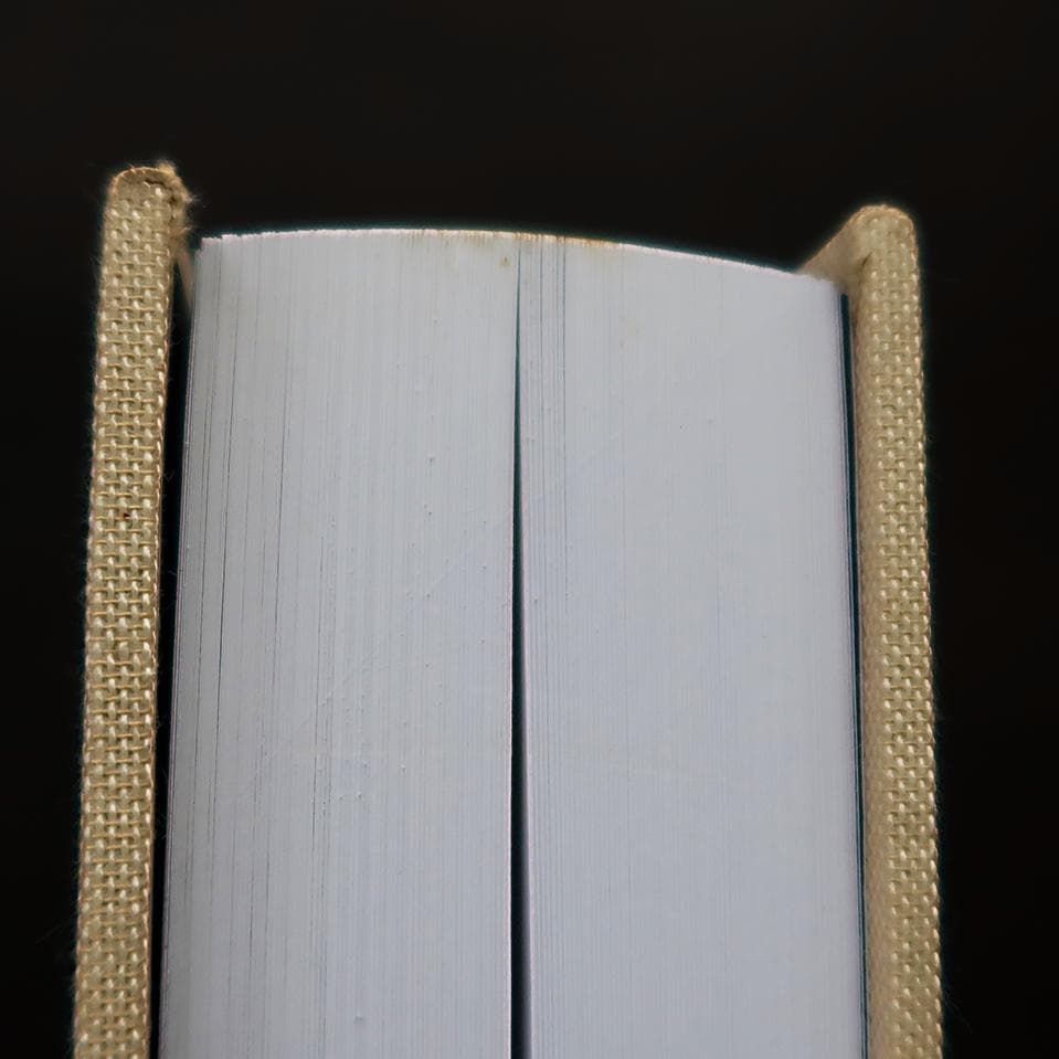 DRAW A FAMILY（JULIAN SCHNABEL）