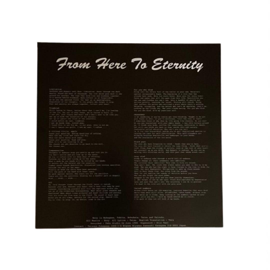 ENVY / From Here to Eternity レコードLP新品未使用