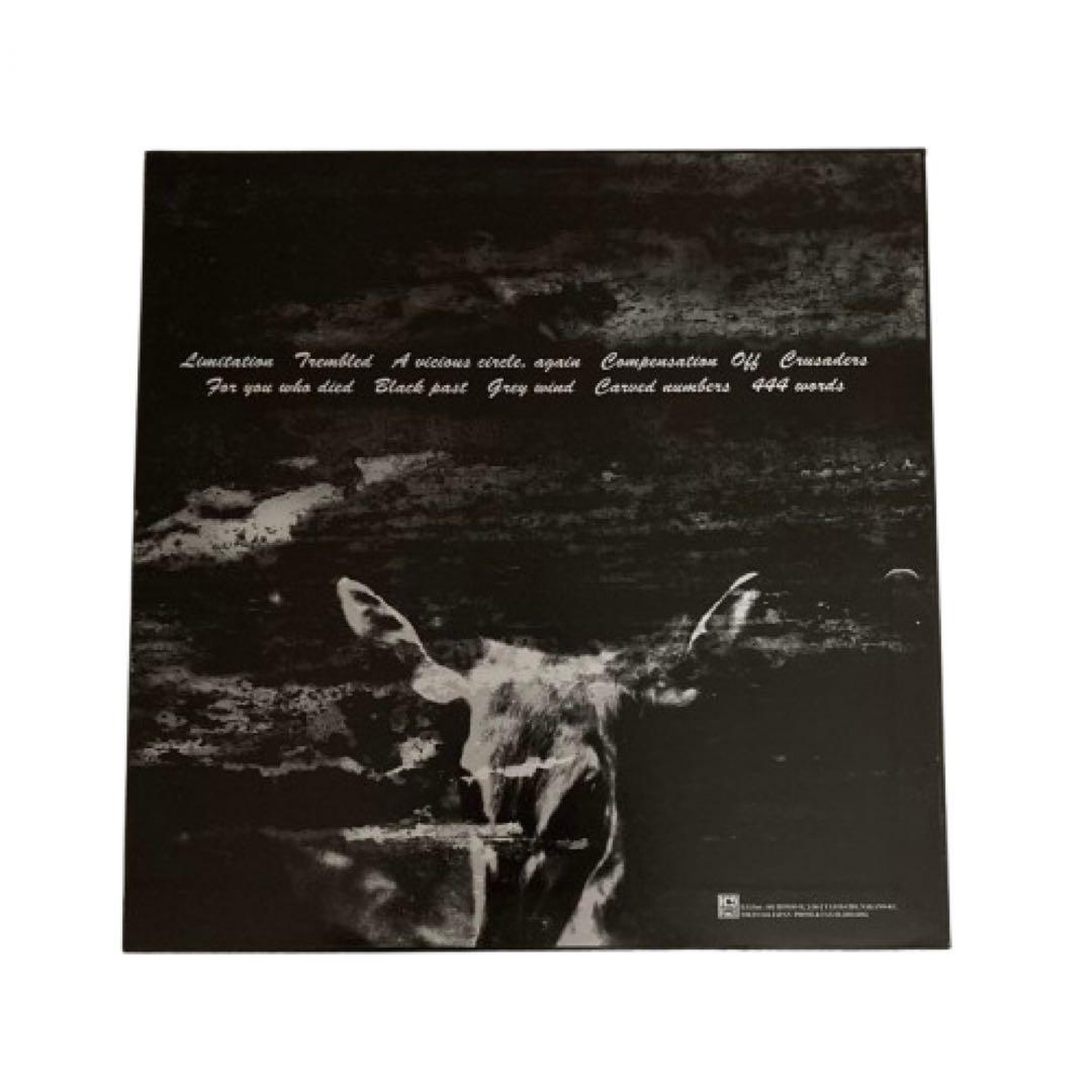 ENVY / From Here to Eternity レコードLP新品未使用