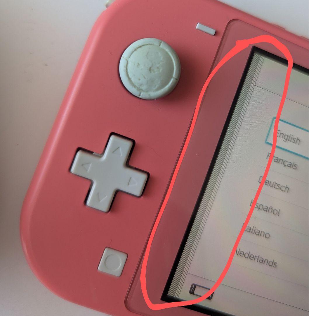 商談中！【ジャンク品】SwitchLight本体+任天堂プロコンセット