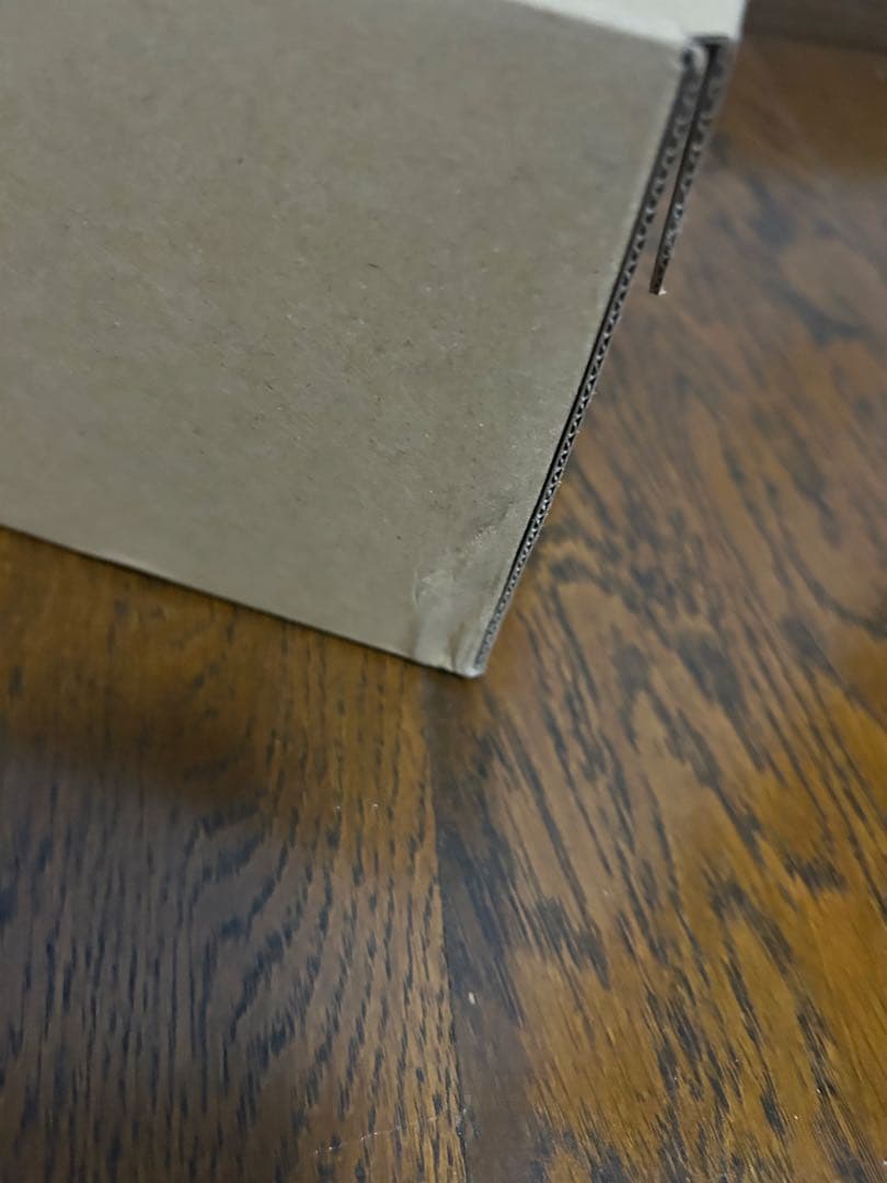 MOONSTAR ムーンスター LITE PRIM W 23cm ベルベット