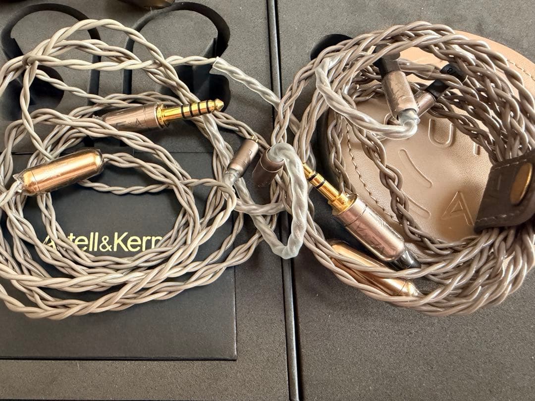 【最終価格】2/15取下 美品Astell&Kern × VE AURA