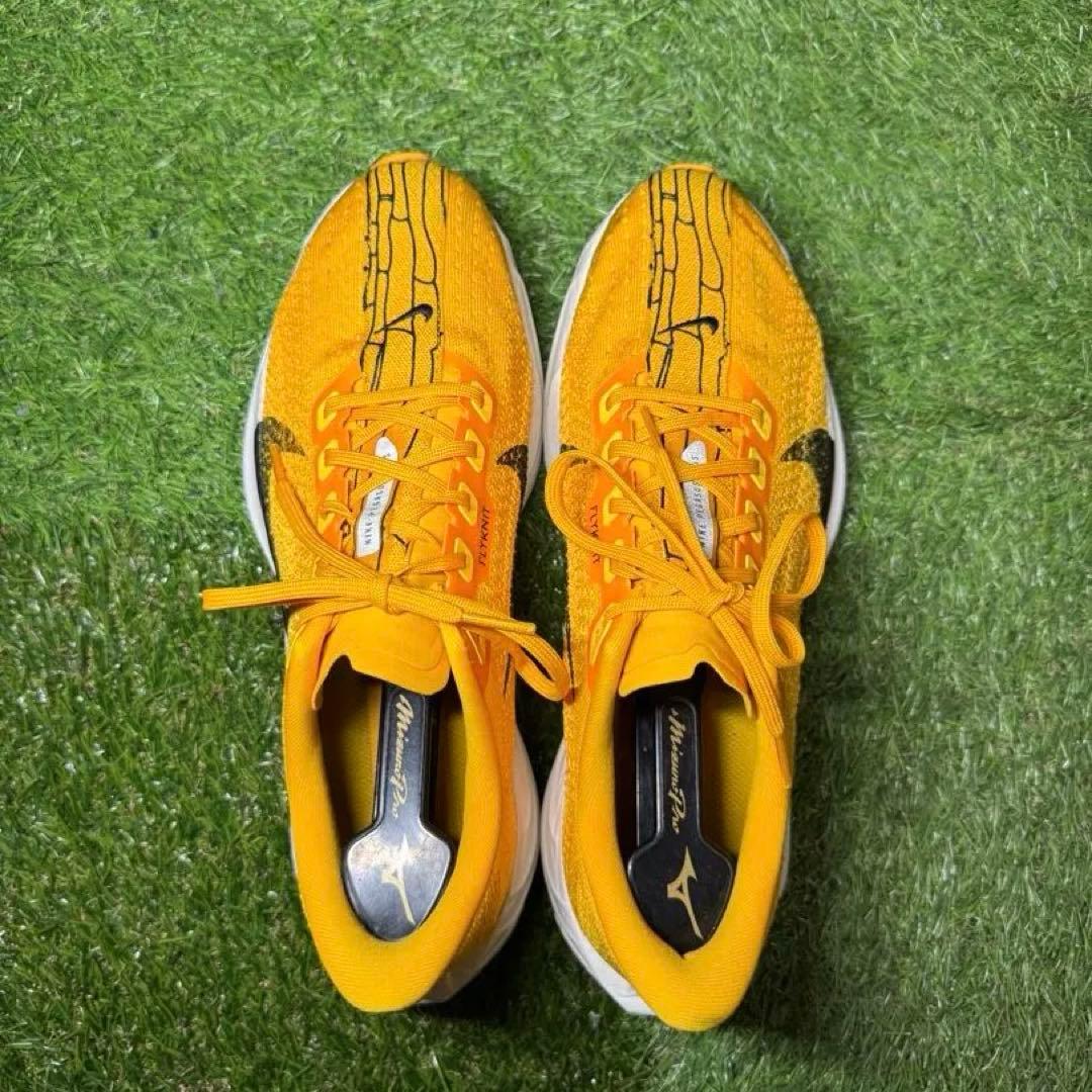 Nike ペガサスプラス メンズ ランニングシューズ 26.5cm