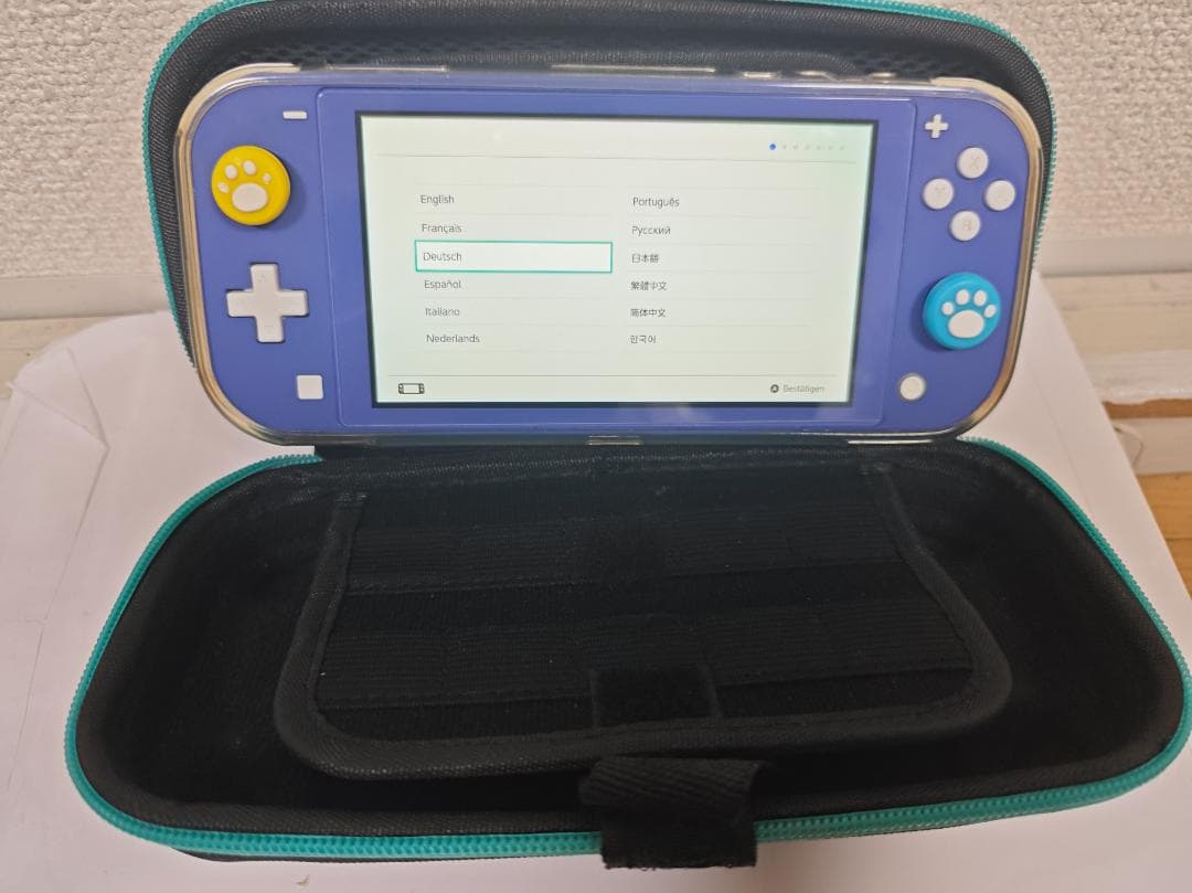 Nintendo Switch Lite 本体 ブルー 美品 ケース カバー付き