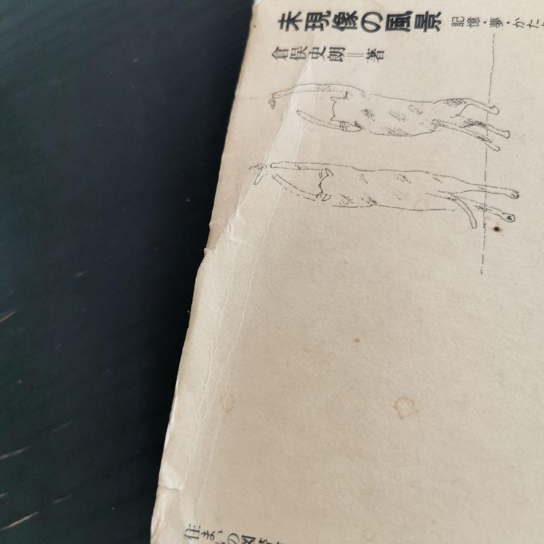 未現像の風景 倉俣史朗