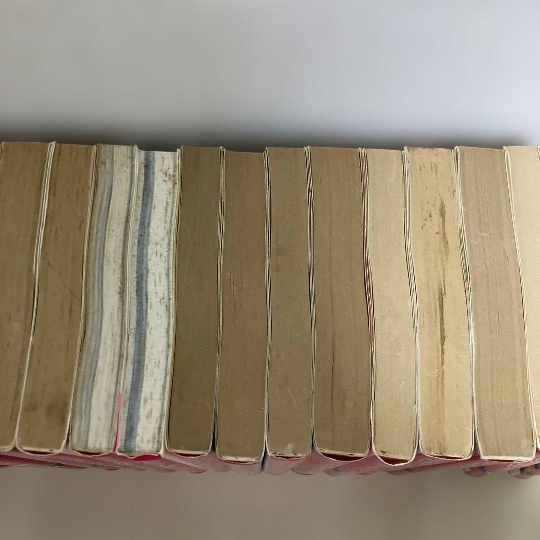 藤本ひとみ　漫画家マリナシリーズ22冊