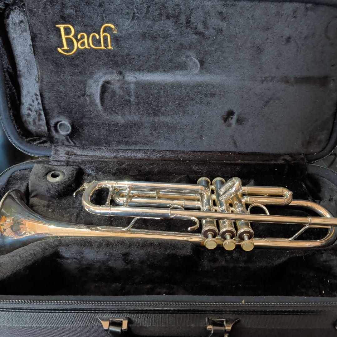 t*p様 Bach トランペット本体 黒ケース付き
