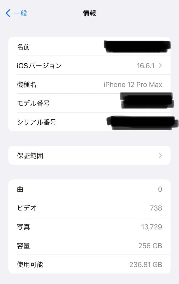 iPhone 12 Pro Max 256GB (Kanku様購入専用)