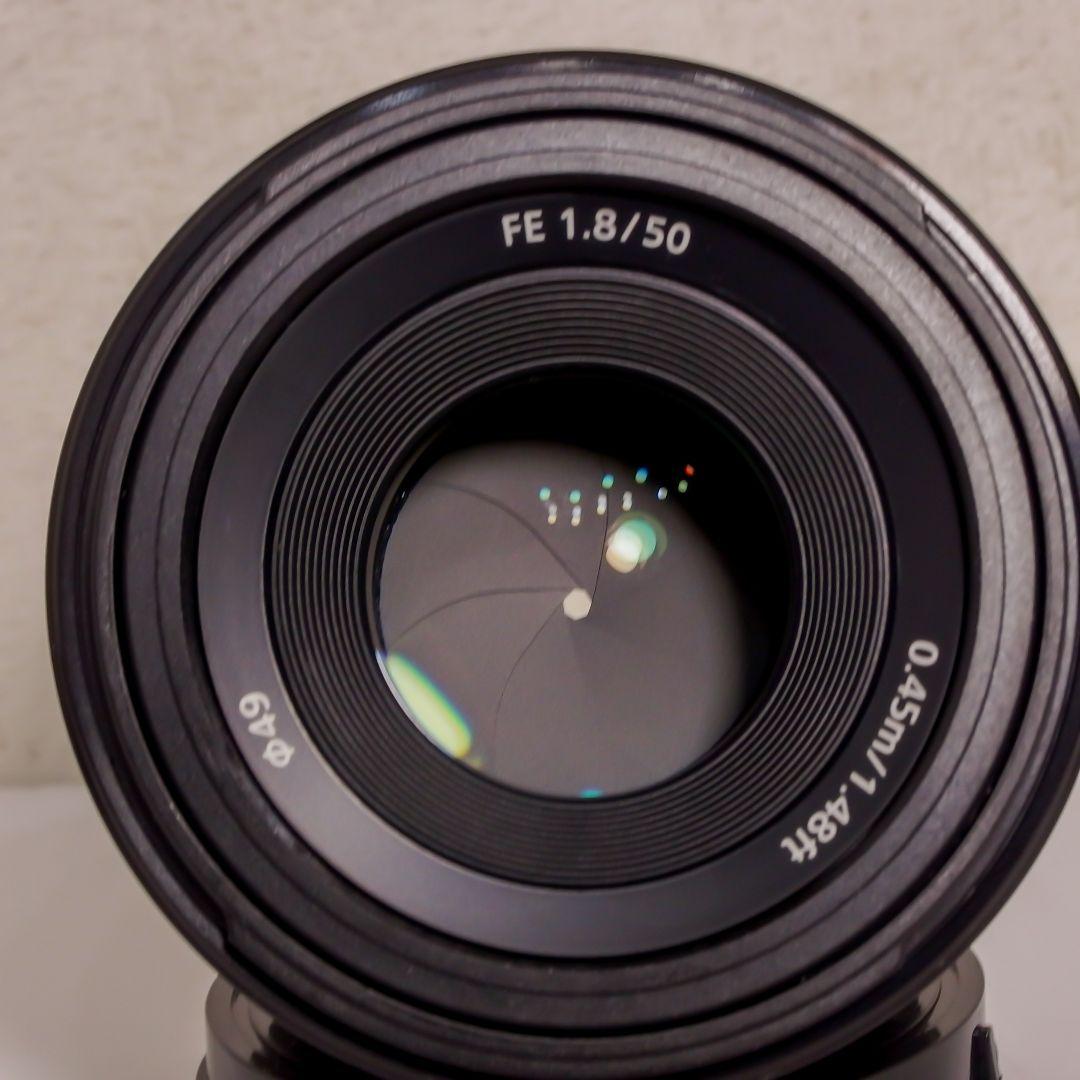 極上完動美品 SONY ソニー 標準単焦点 フルサイズ FE 50mm F1.8