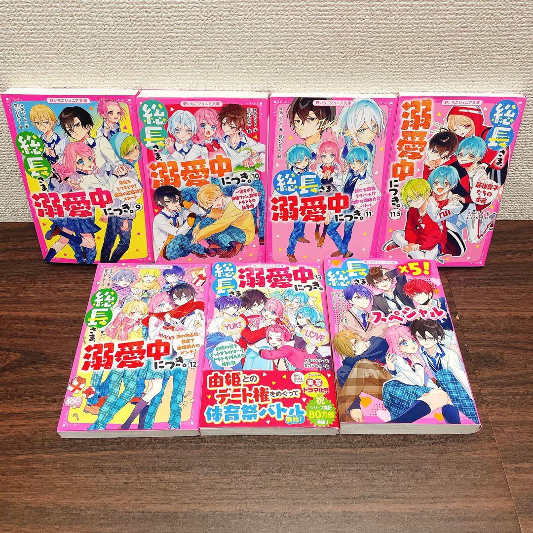 【合計21冊 】総長さま、溺愛中につき。1-13巻 +今日、キミに告白します　他