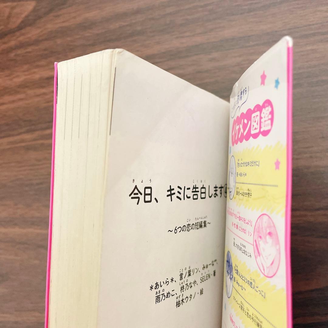 【合計21冊 】総長さま、溺愛中につき。1-13巻 +今日、キミに告白します　他