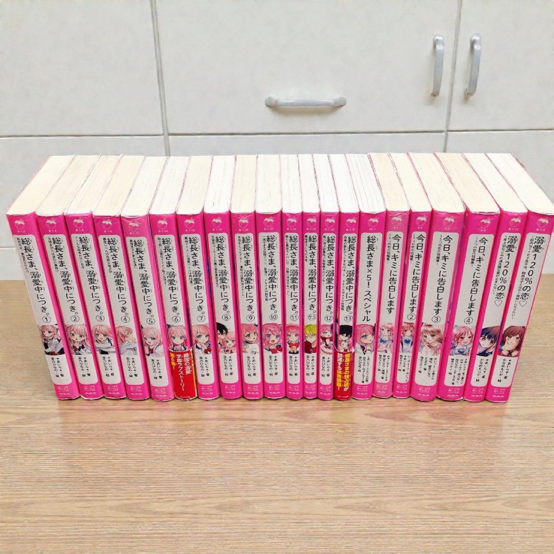 【合計21冊 】総長さま、溺愛中につき。1-13巻 +今日、キミに告白します　他