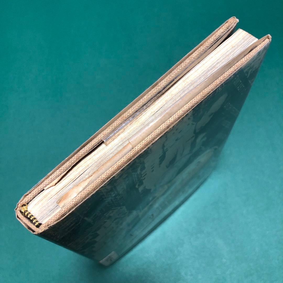 【1969年初版本】FANTASTIC ARCHITECTURE【ヴィンテージ】