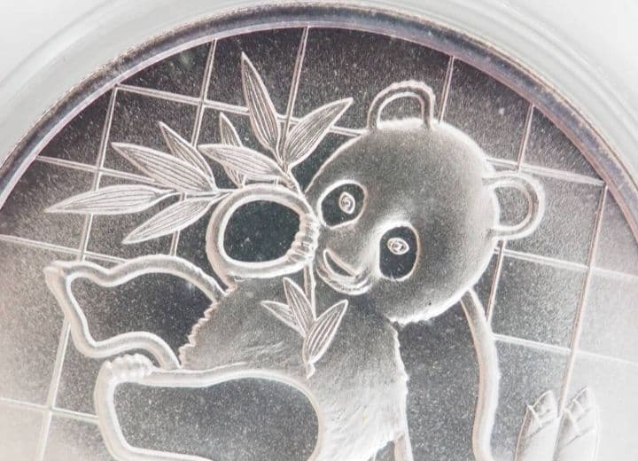 k♡　1989年 パンダ銀貨　カプセル付き　本物保証