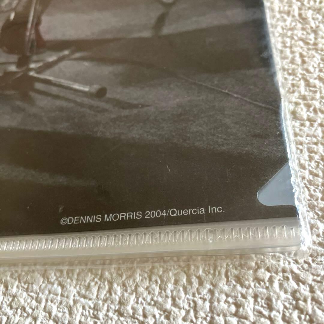 SEX PISTOLS 楽譜本 & クリアファイル