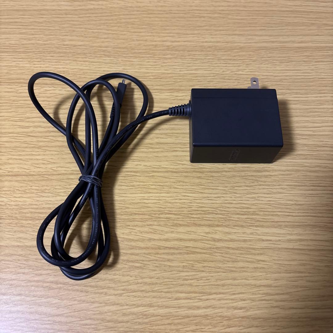 Switchライト　ブルー　マイクラケース　ハードカバー　充電器付き