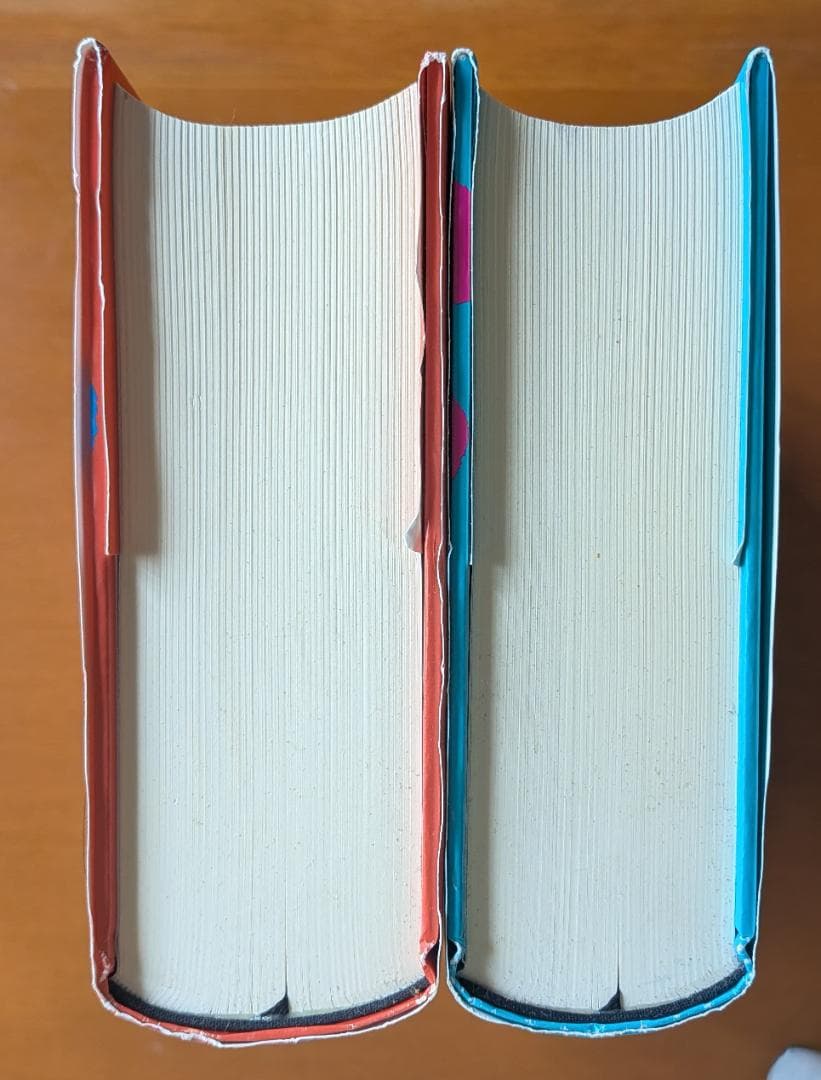 竹田青嗣『欲望論』全2巻（講談社）