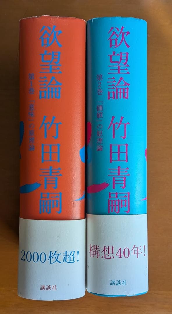 竹田青嗣『欲望論』全2巻（講談社）