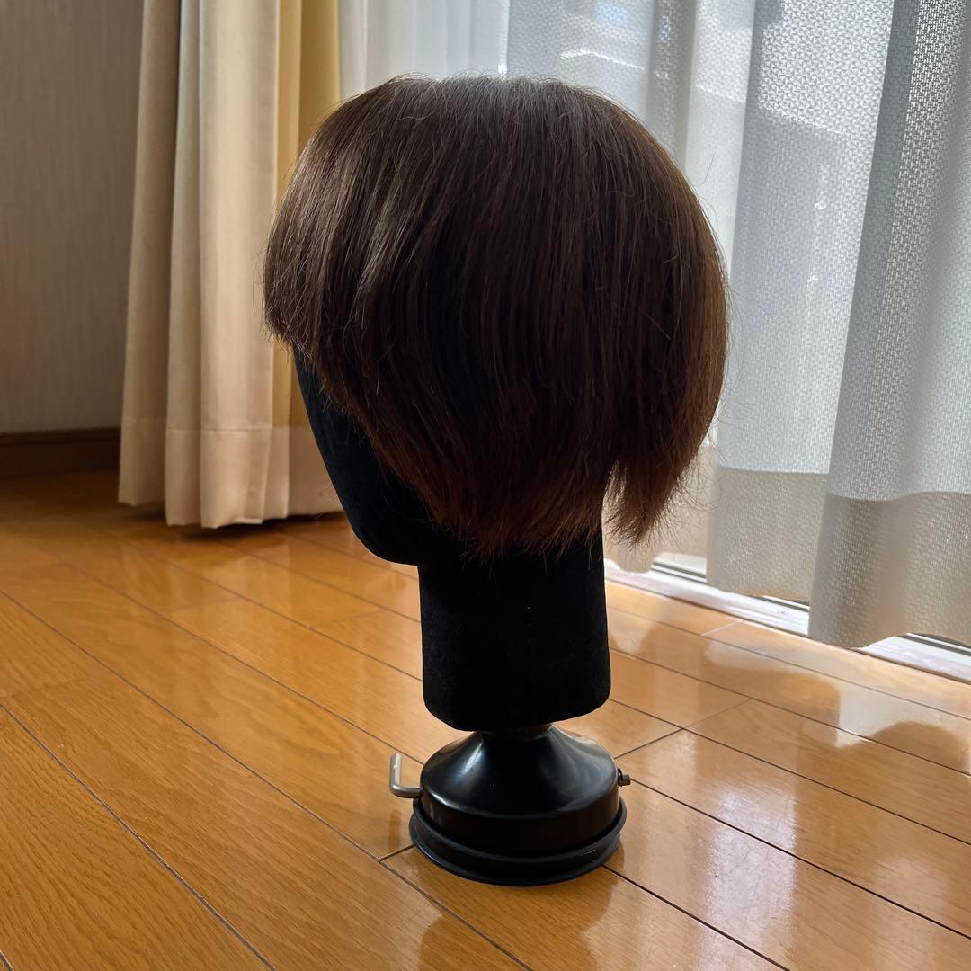 部分ウィッグ　アクアドール