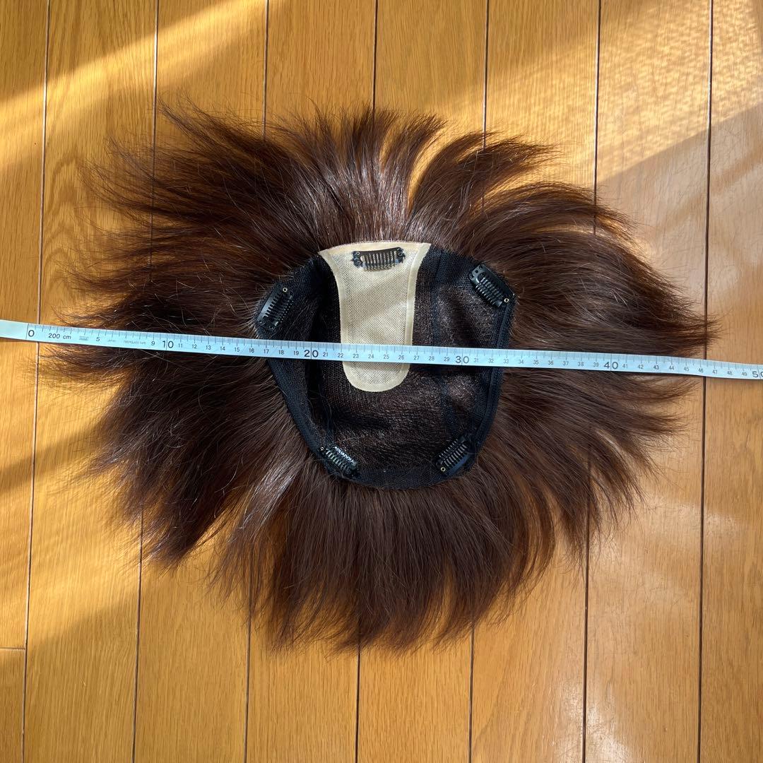 部分ウィッグ　アクアドール