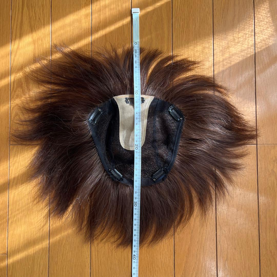 部分ウィッグ　アクアドール