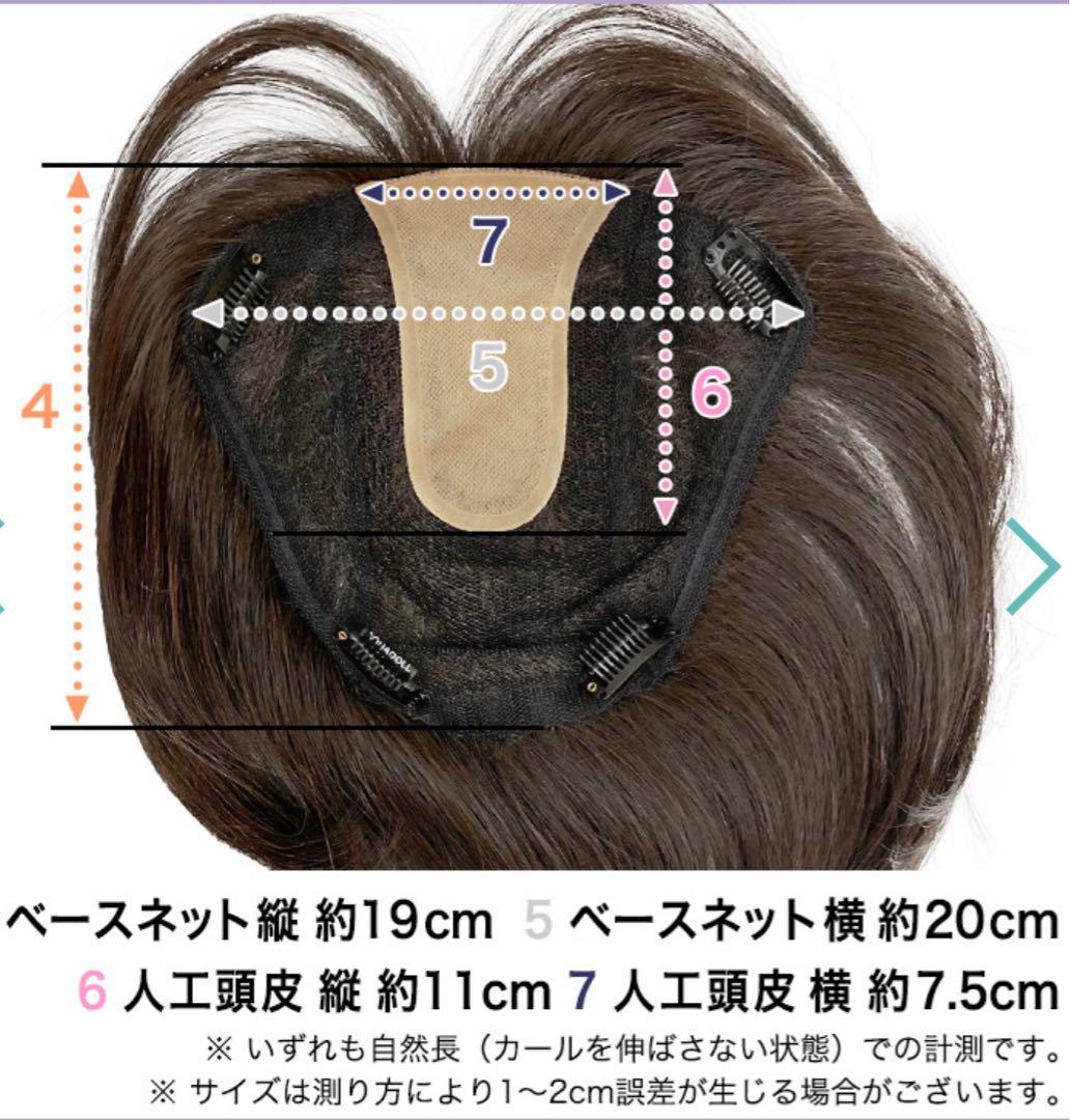 部分ウィッグ　アクアドール