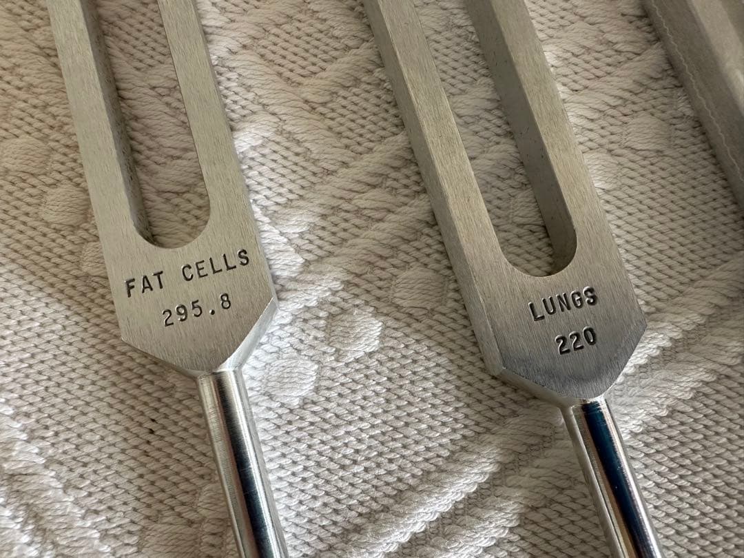 【万葉】音叉15本セット各臓器に対応 米国製ヒューマンオーガンセット