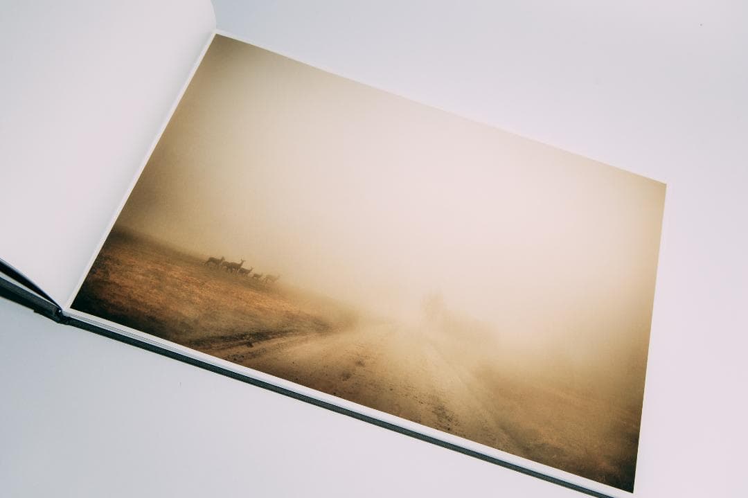 （初版・サイン本） Todd Hido / Bright Black World