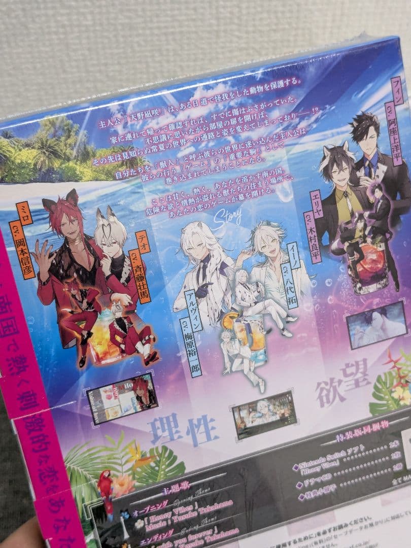 特装版 Honey Vibes Nintendo Switch 特典付き 未開封