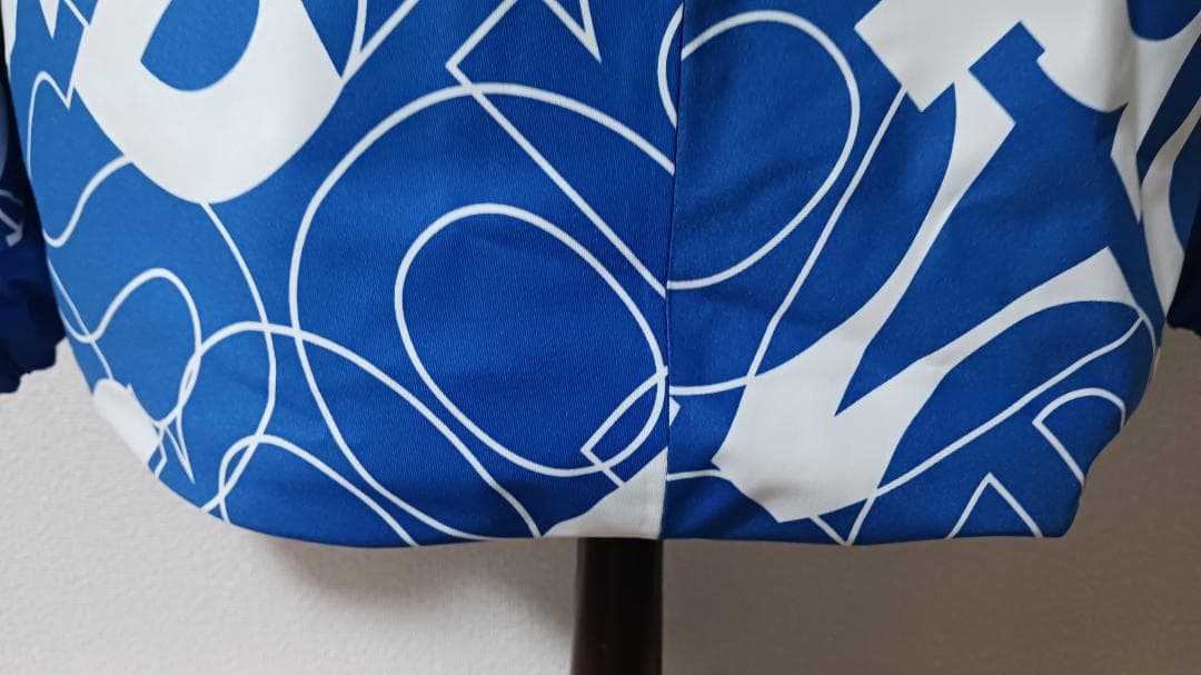 DESCENTE S.I.O ノーティカルブルータイポグラフィー スキーウェア