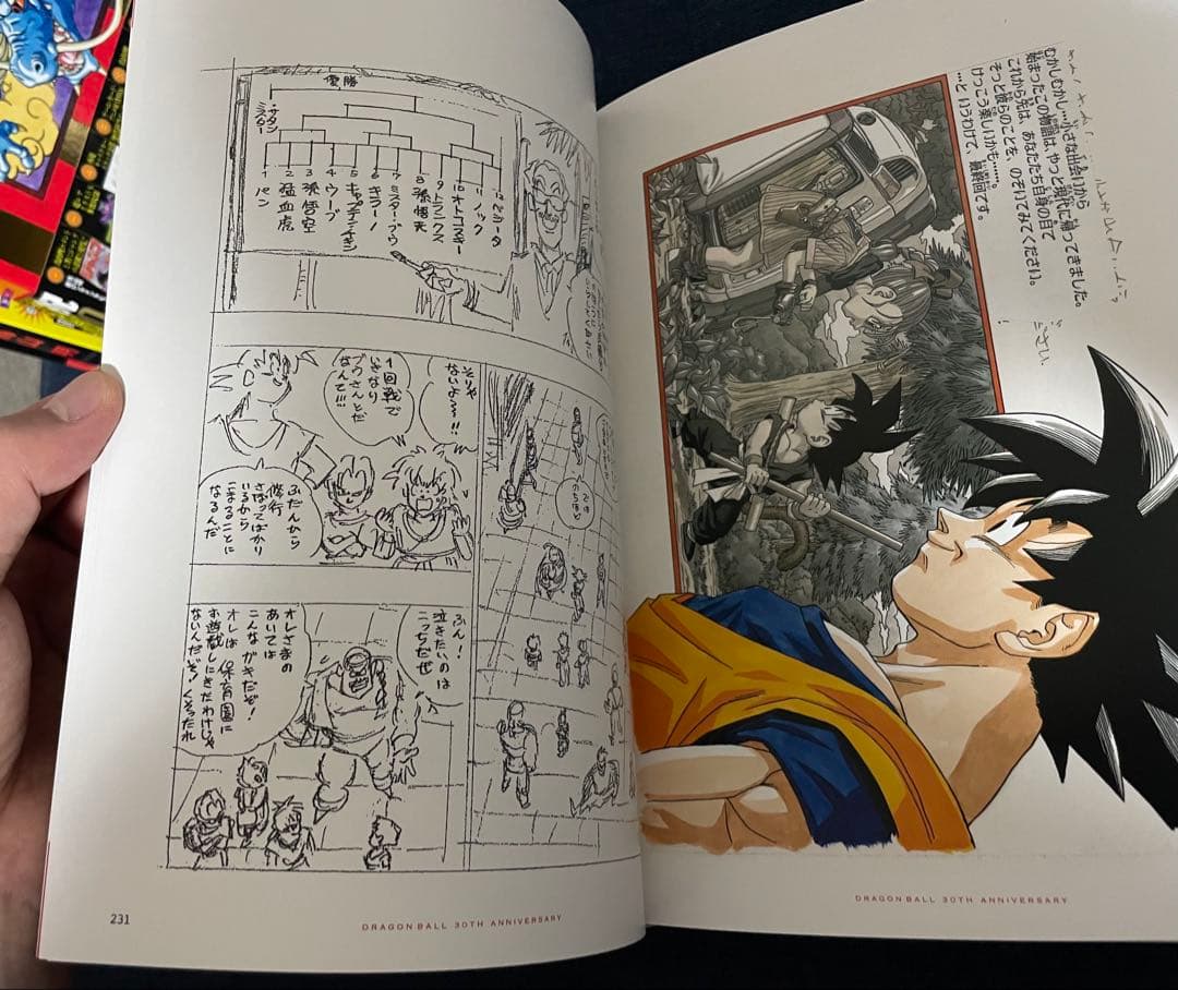 【鳥山明】DRAGON BALL 30thイラスト集➕画集2点➕冊子1冊