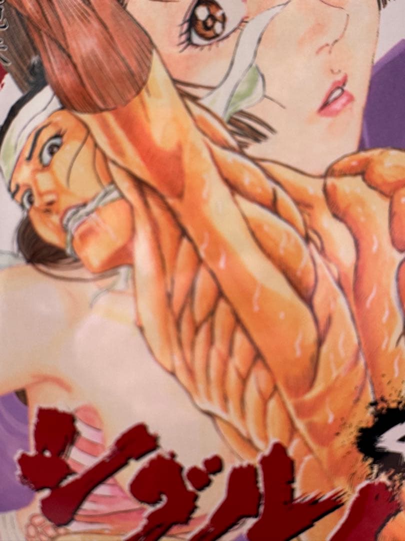 シグルイ全巻セット