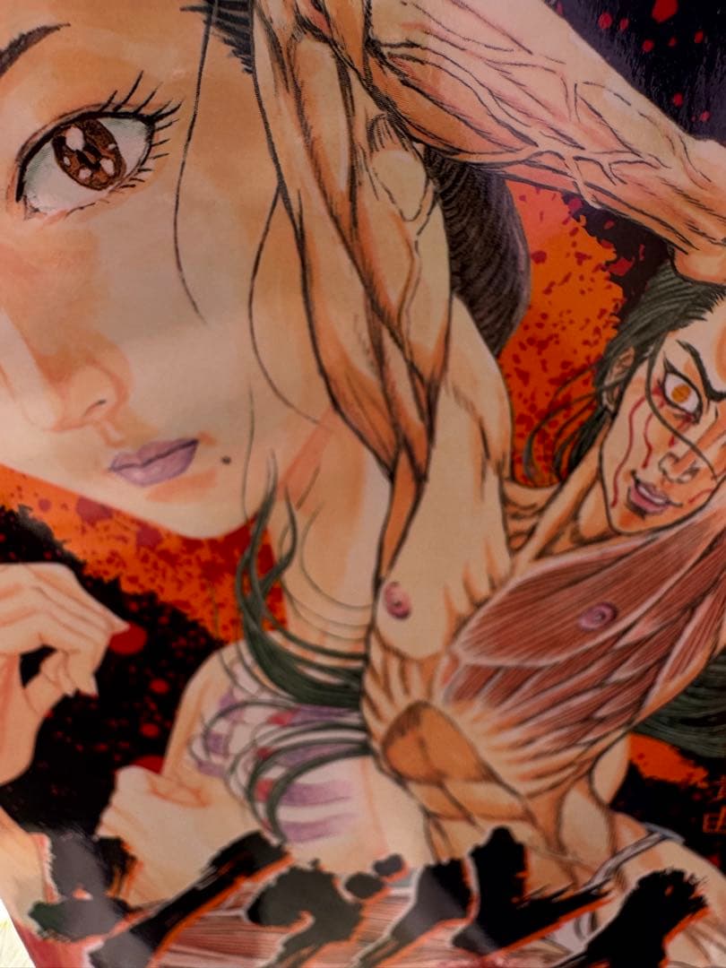 シグルイ全巻セット