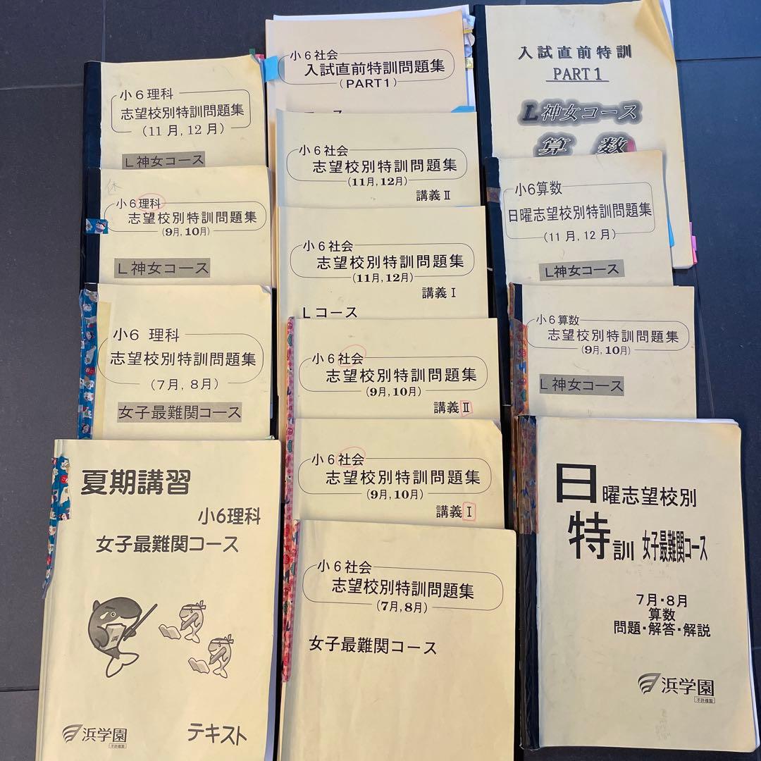 浜学園　神戸女学院　L神女コース教材　算数理科社会16冊まとめ売り