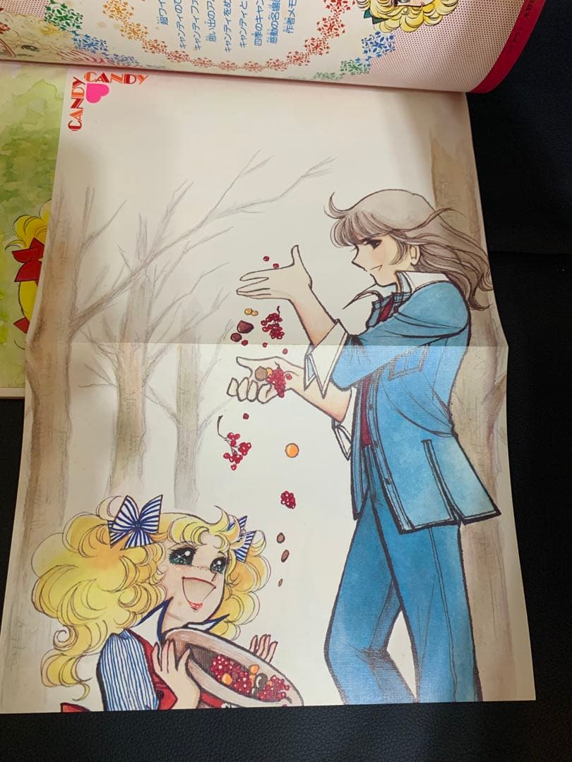 【絶版・完品】キャンディキャンディイラスト集　いがらしゆみこ　水木杏子