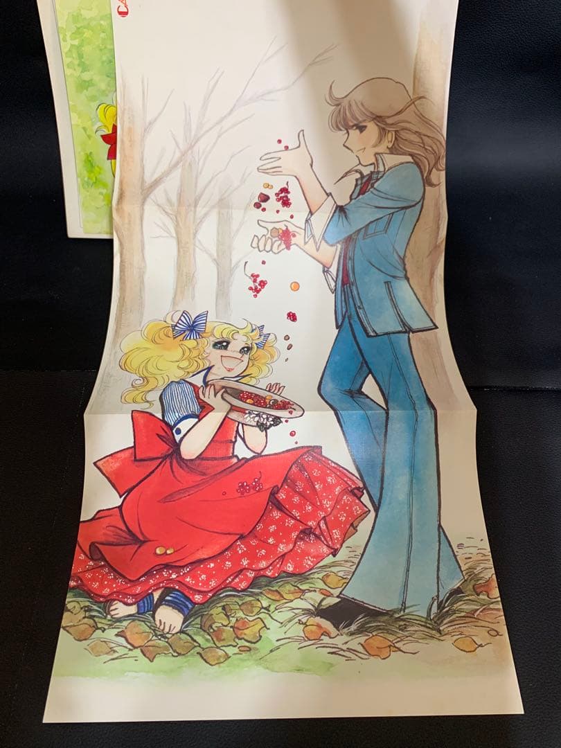 【絶版・完品】キャンディキャンディイラスト集　いがらしゆみこ　水木杏子