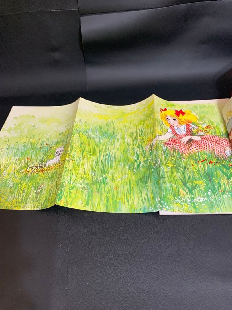 【絶版・完品】キャンディキャンディイラスト集　いがらしゆみこ　水木杏子