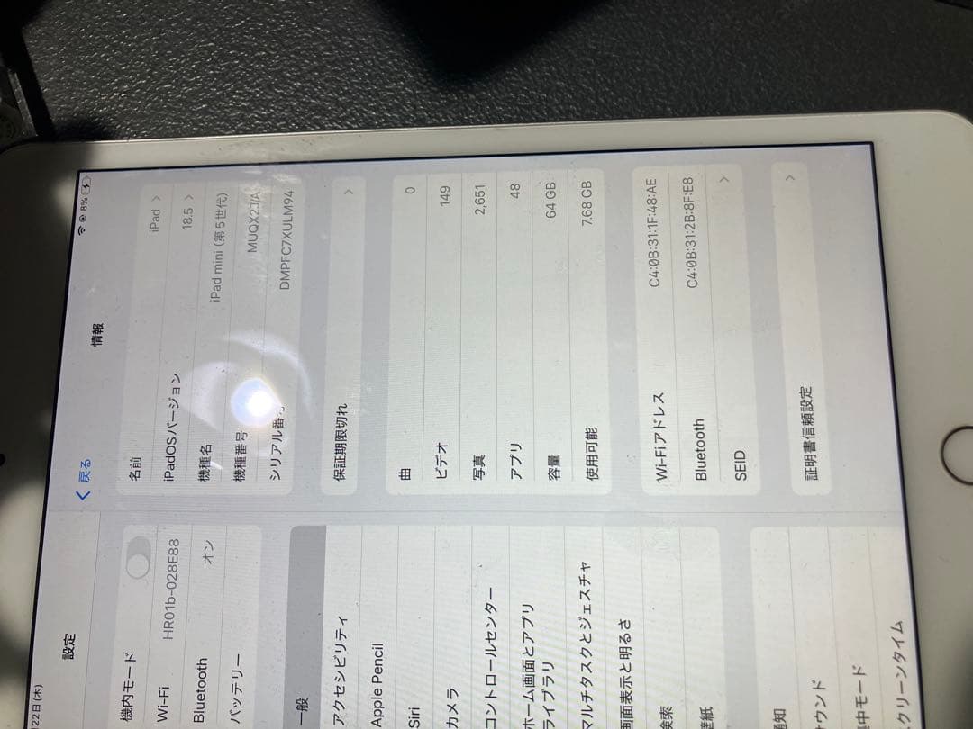 Apple iPad mini 5シルバー 本体　第五世代