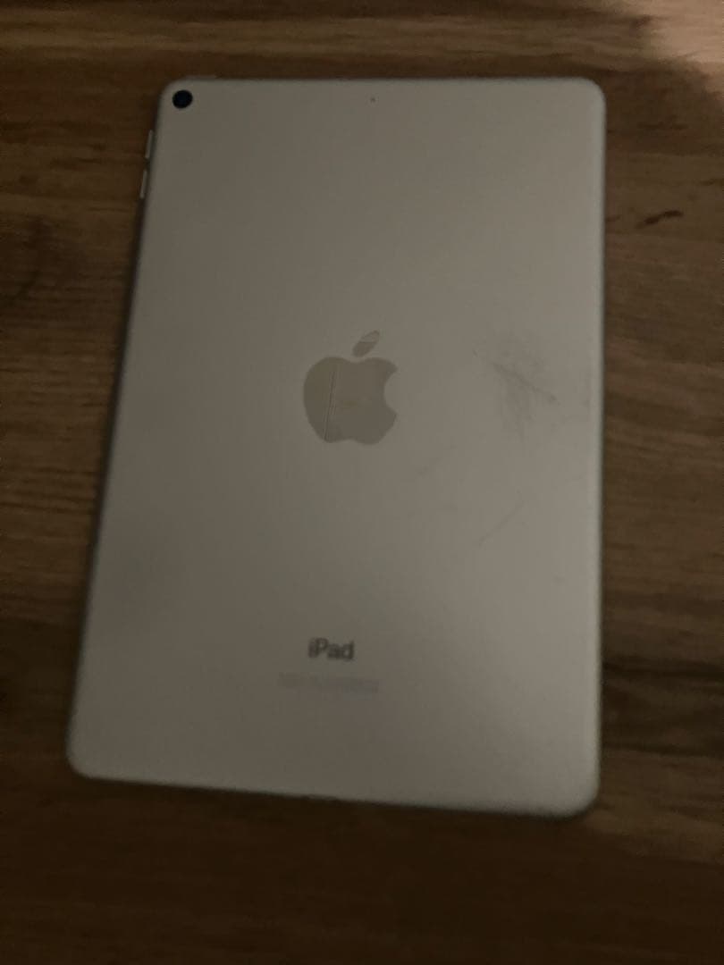 Apple iPad mini 5シルバー 本体　第五世代