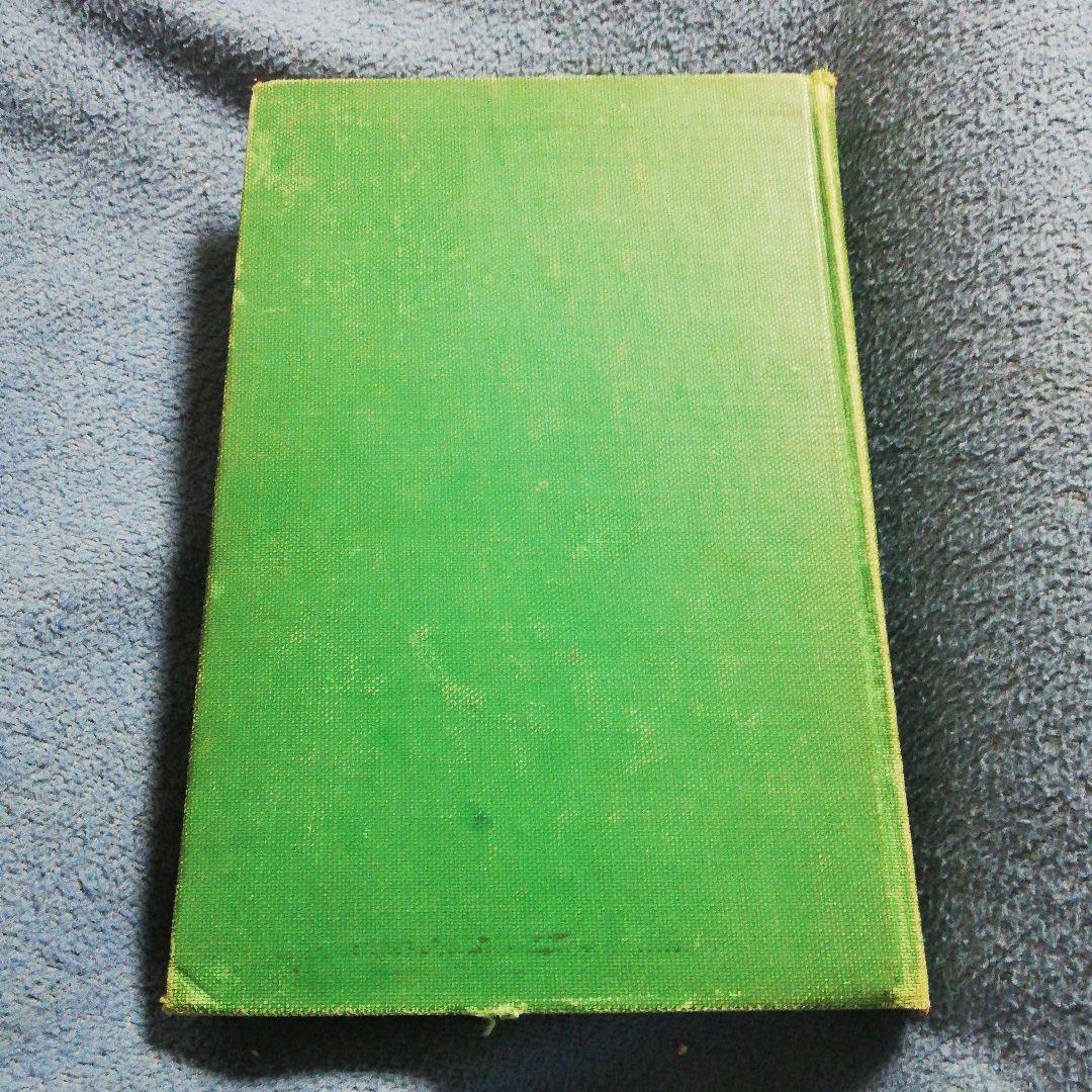 洋書 LORD MAITREYA by Amsumata (Signed)