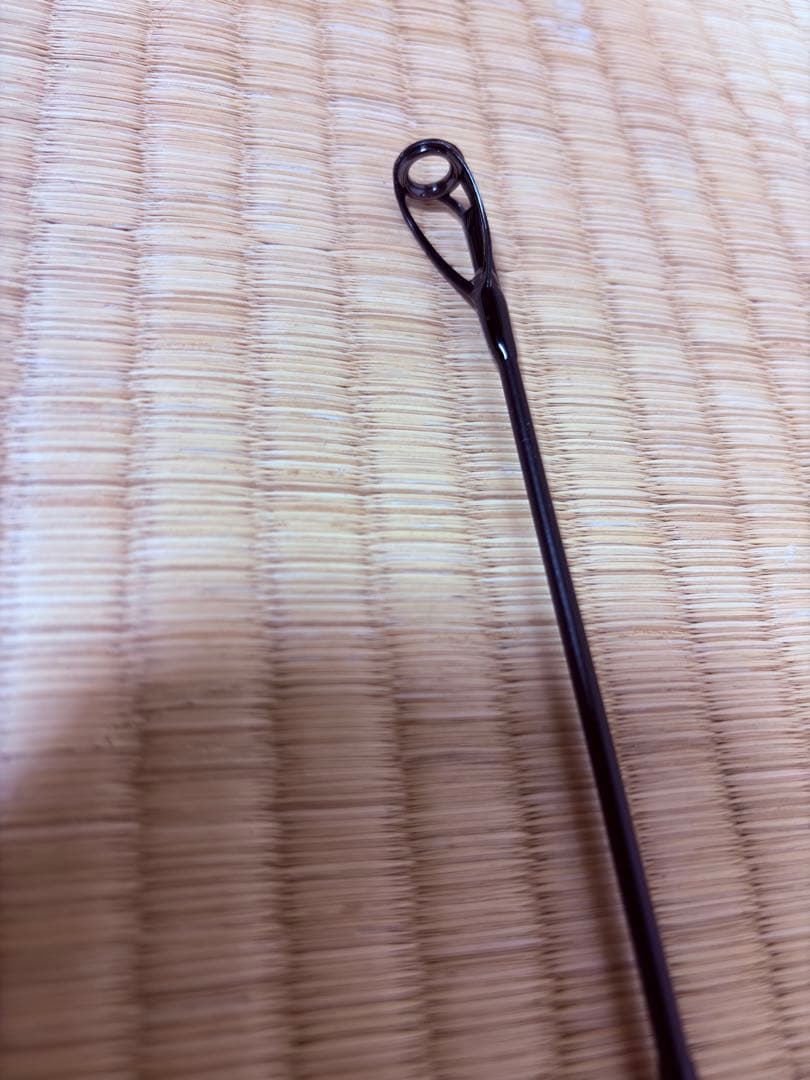 ラグゼ　チーター100XXH