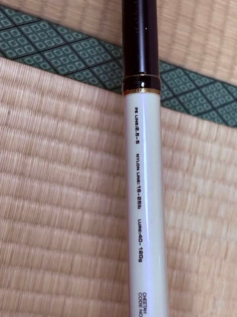 ラグゼ　チーター100XXH