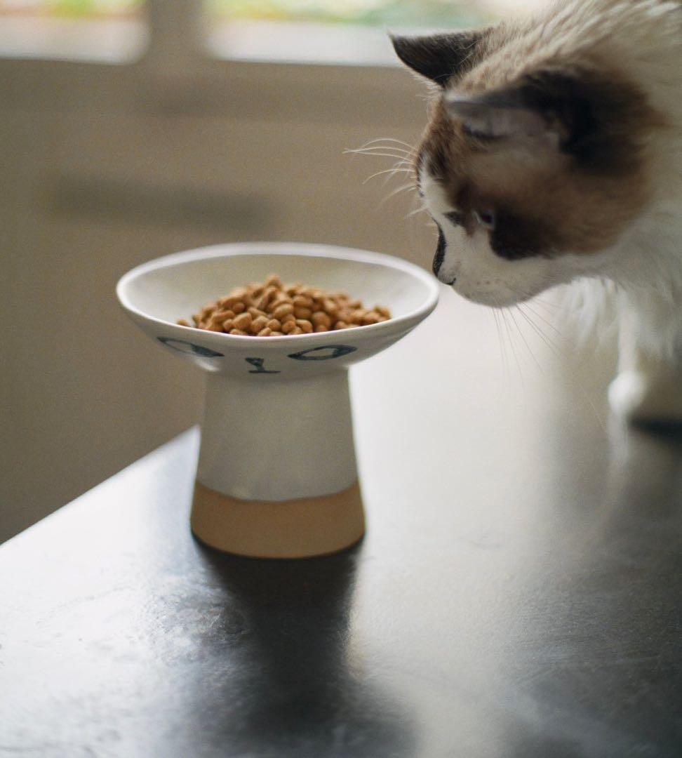 madoka rindal キャットボウル　マドカリンダル