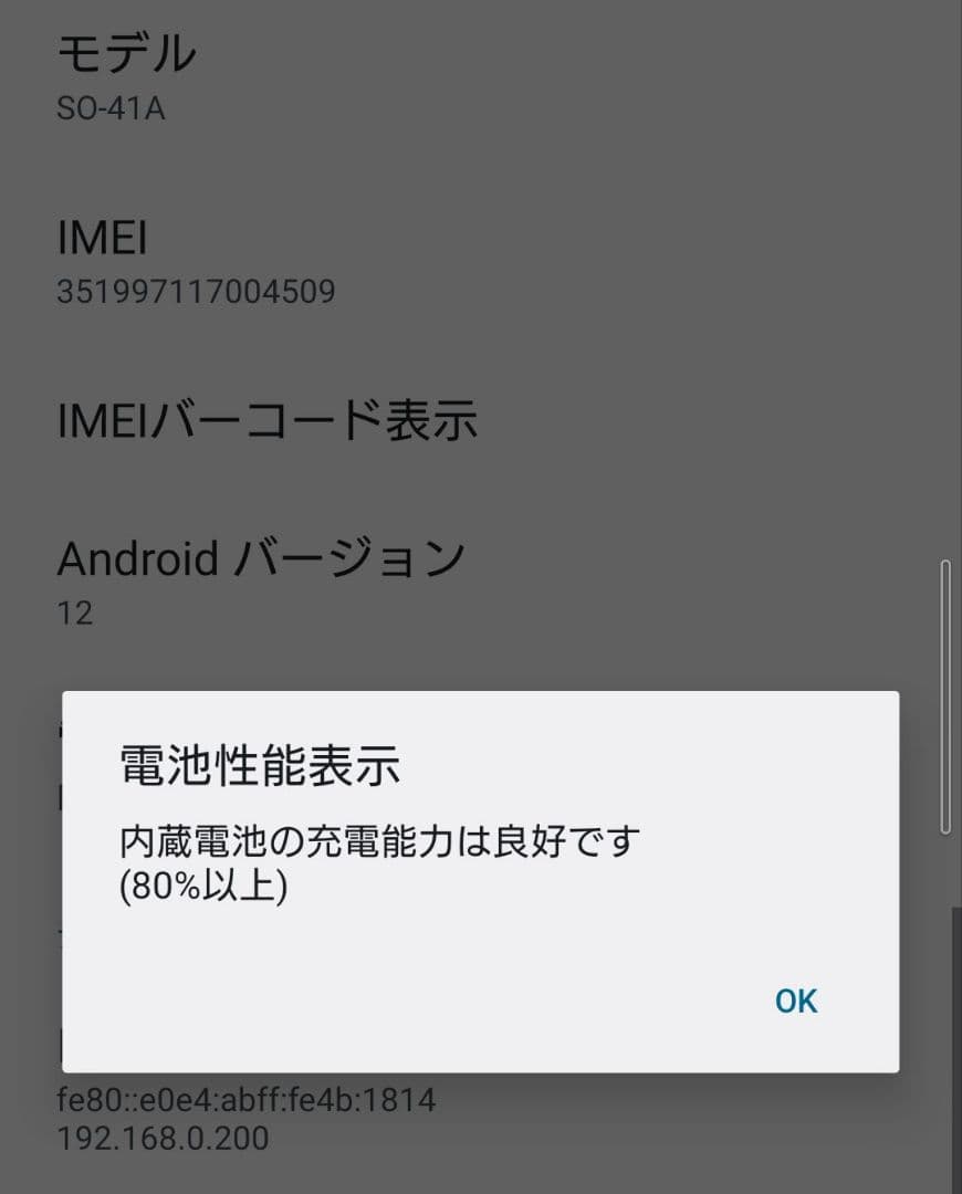 SONY Xperia 10ii docomo SO-41A ミント 美品