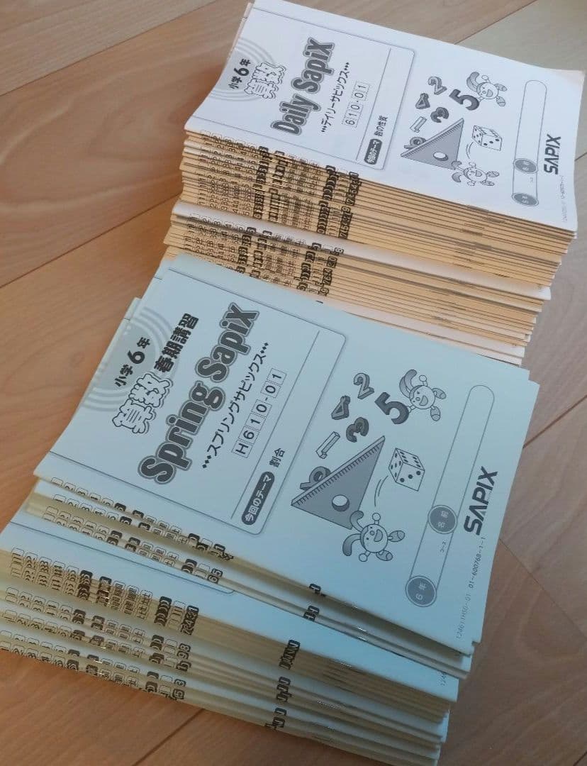 【最新版】2024年 SAPIX 6年 算数テキスト デイリーサピックス/1年分