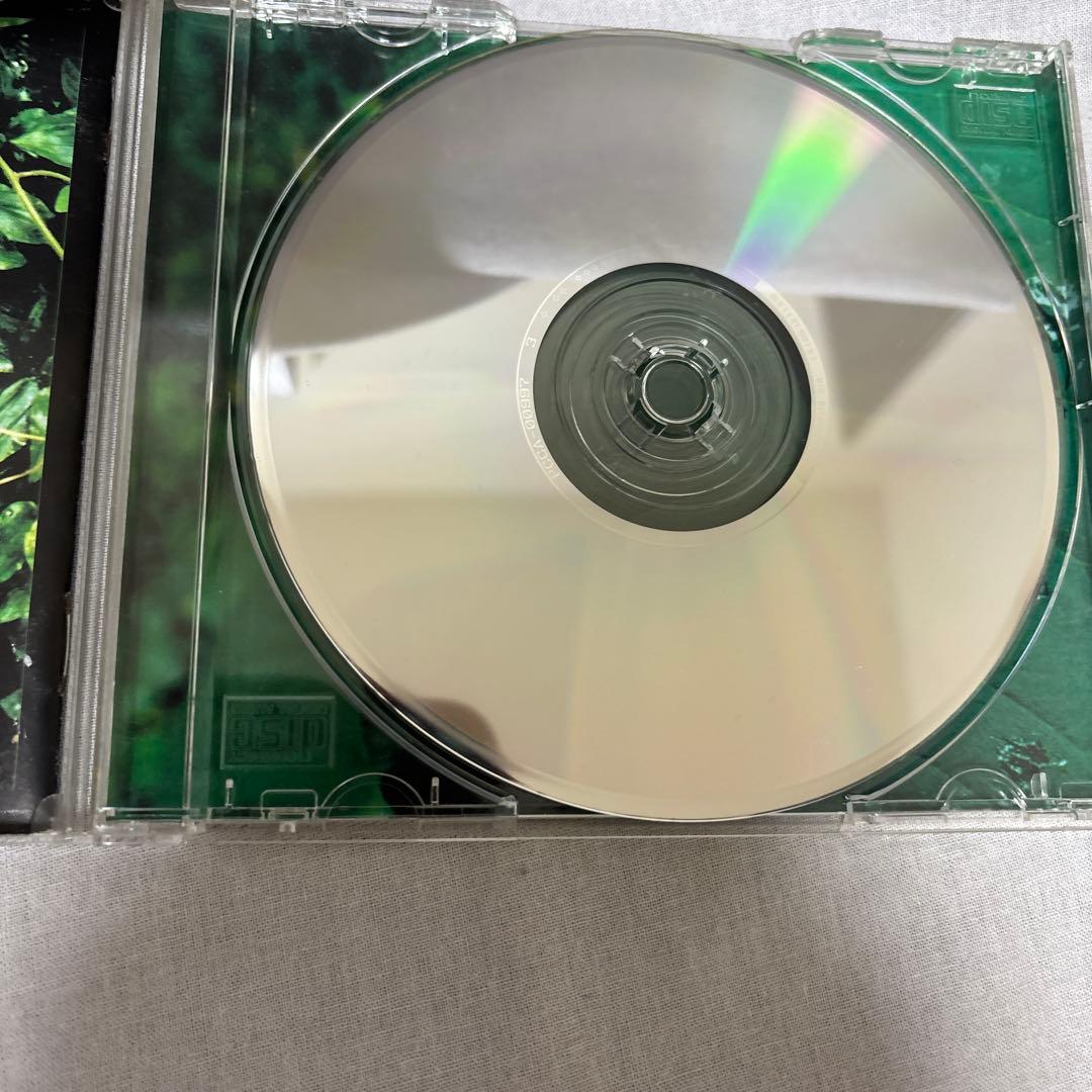 エレファントカシマシ CD サイン入り　宮本浩次　ココロに花を