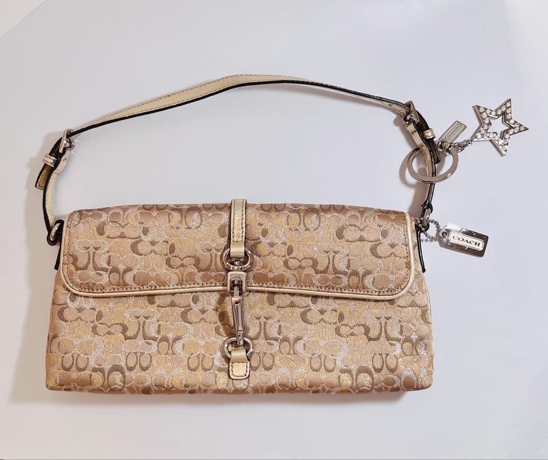 コーチ　アクセサリーポーチ　ワンショルダーバッグ　ミニバッグ