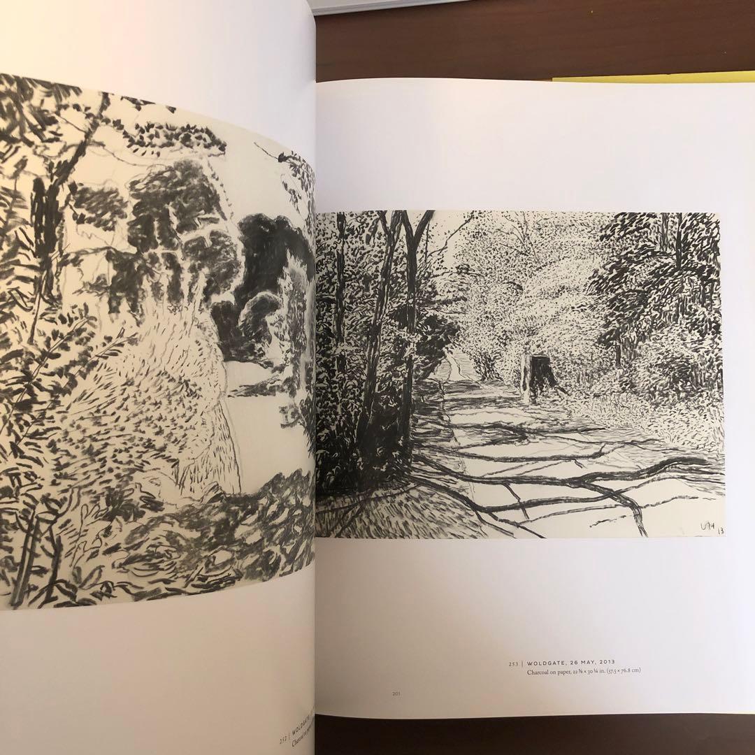 DAVID HOCKNEY A Bigger Exhibition ホックニー